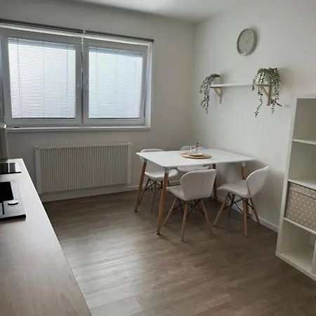 Apartment Rk #4